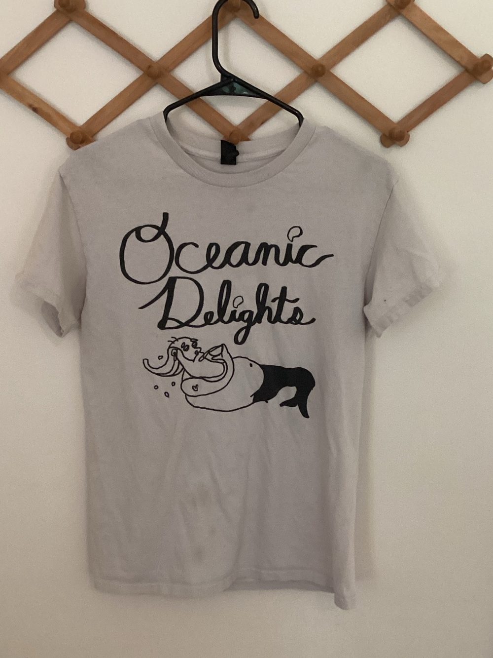 Gildan Light Gray "Oceanic Delights" Graphic Tee